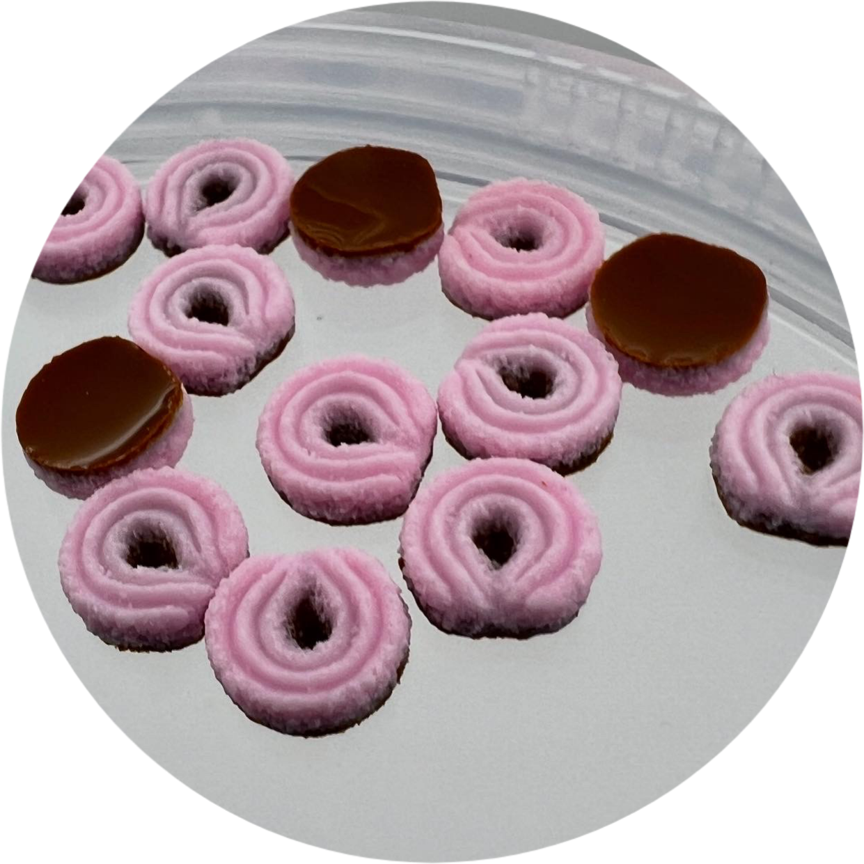 Mini Berry Chocolate Ring Slime_1