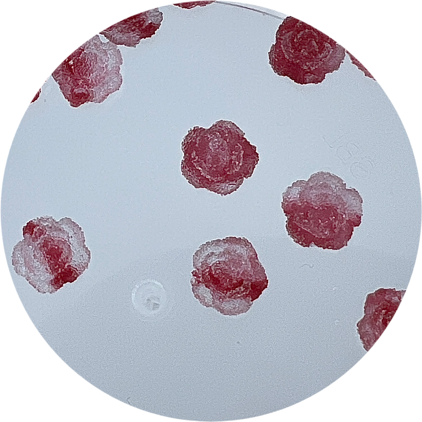 Sour Rose Jelly Slime (Burgundy)