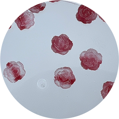 Sour Rose Jelly Slime (Burgundy)