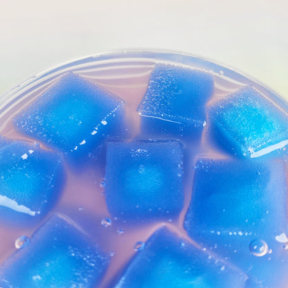 Blueberry Jelly Slime