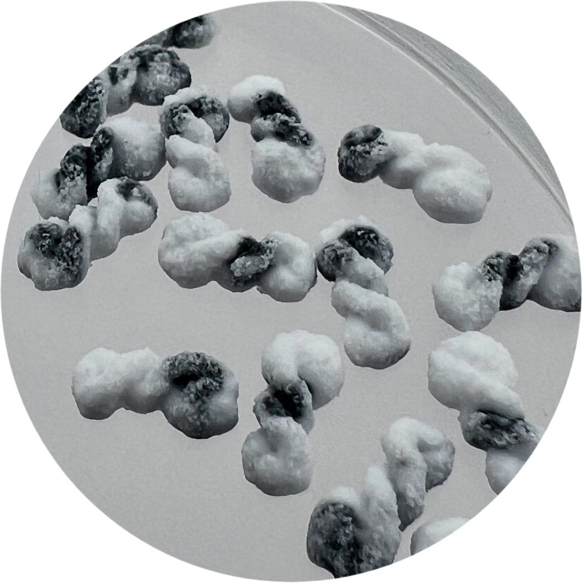 Cookie & Cream Twisted Donut Slime_1
