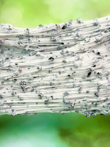 Forest Pebble Friends Slime_3