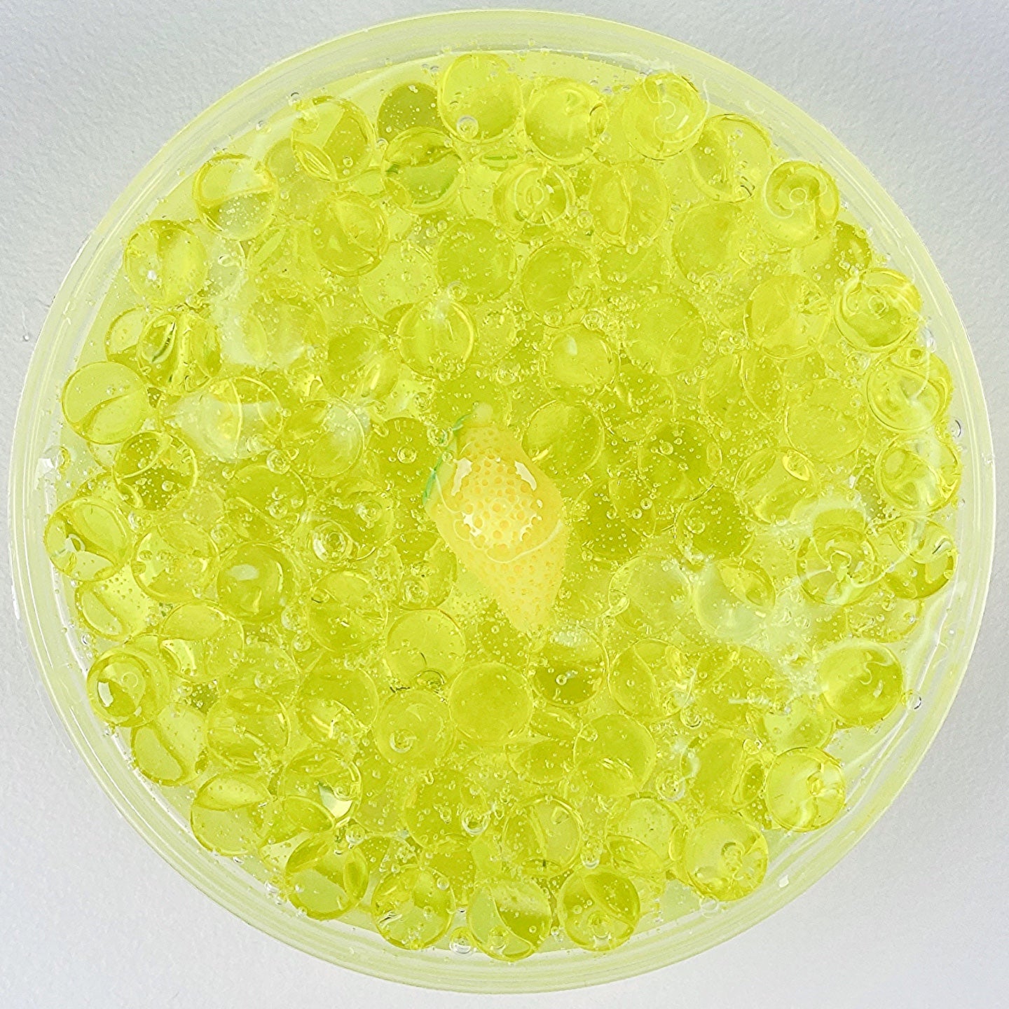 Lemon Pulp Slime