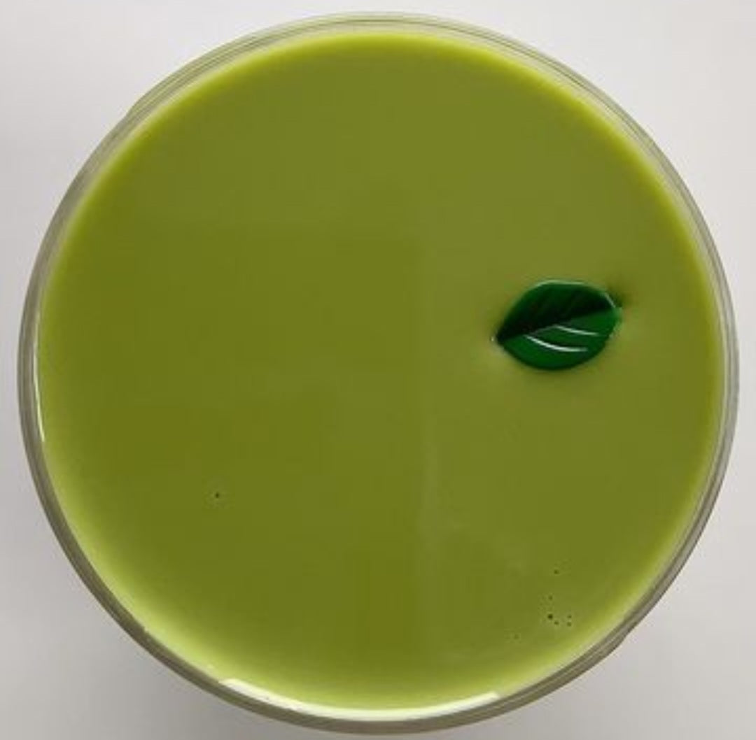 Swamful Green Tea Slime (9oz)